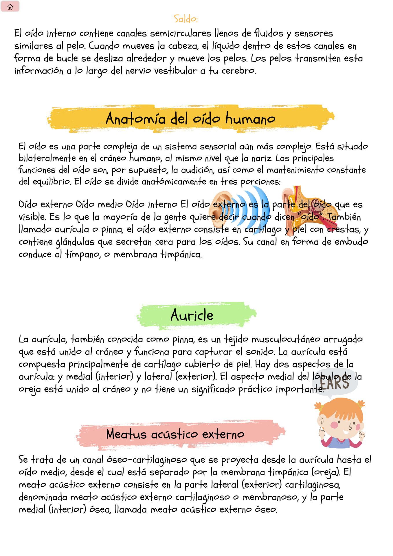 Flashcard de estudio: el oído y sus partes