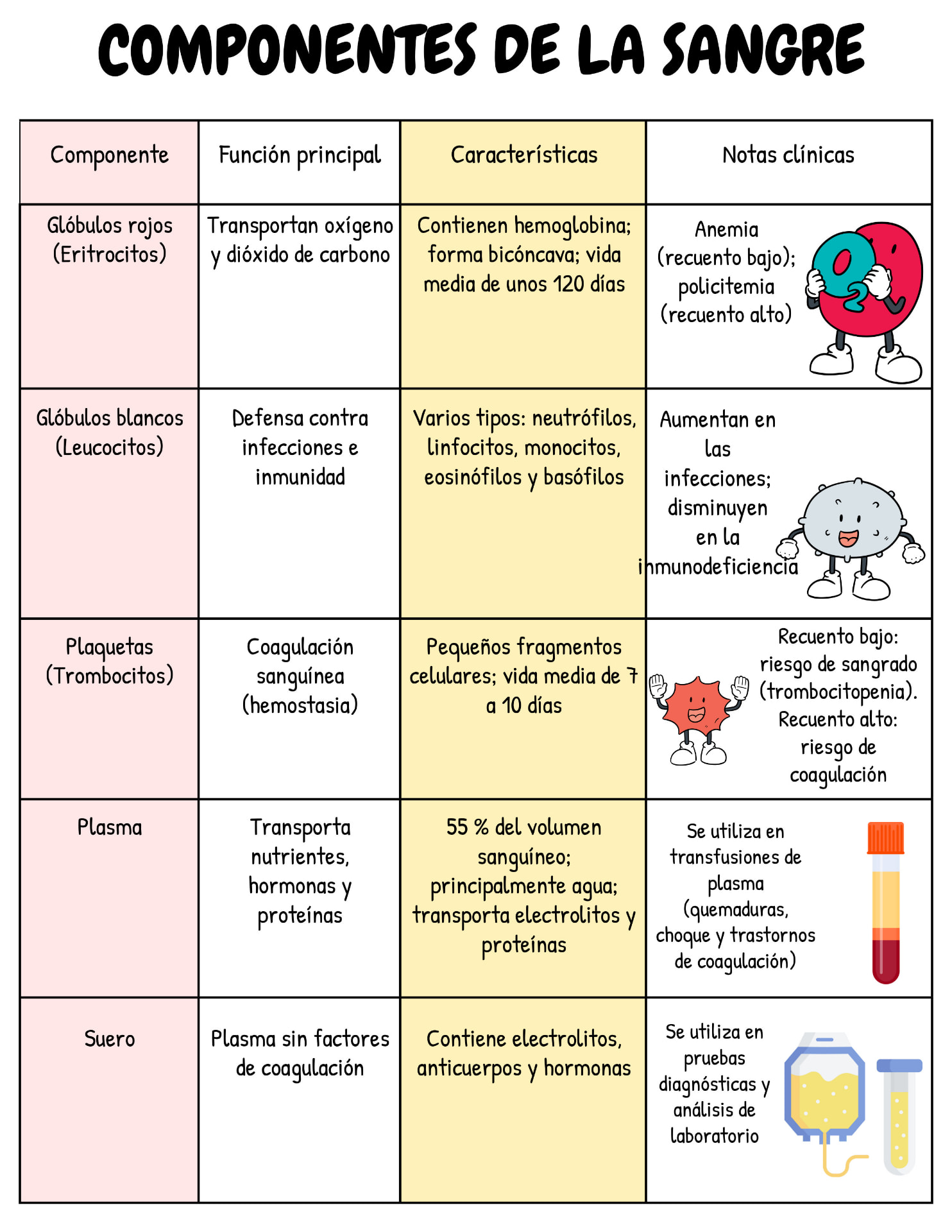 Resumen: componentes de la sangre